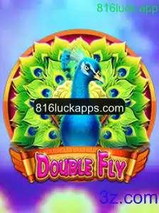 Descubra o Fascinante Mundo de DoubleFly: Tudo que Você Precisa Saber